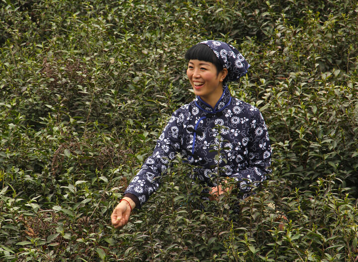 韩国女主播在线 采访